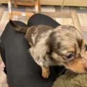 ヒメ日記 2025/12/20 18:58 投稿 広末えれな 月の真珠-新宿-