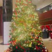 ヒメ日記 2025/12/23 20:18 投稿 広末えれな 月の真珠-新宿-