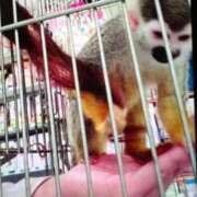 ヒメ日記 2026/01/25 14:08 投稿 広末えれな 月の真珠-新宿-