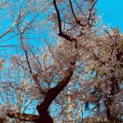 ヒメ日記 2026/02/07 20:38 投稿 広末えれな 月の真珠-新宿-