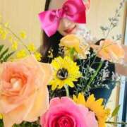 ヒメ日記 2026/03/06 03:48 投稿 広末えれな 月の真珠-新宿-