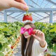 ヒメ日記 2026/04/02 11:38 投稿 広末えれな 月の真珠-新宿-