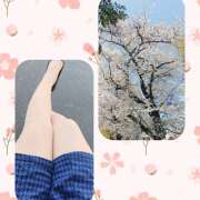 ヒメ日記 2026/04/03 16:38 投稿 浅倉るい 扉の向こう側