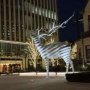 ヒメ日記 2025/02/26 15:42 投稿 美園 沙耶☆官能セラピスト MARVELOUS