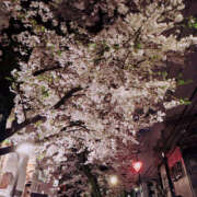 ヒメ日記 2025/04/16 01:39 投稿 美園 沙耶☆官能セラピスト MARVELOUS