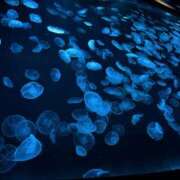 ヒメ日記 2025/06/07 07:12 投稿 美園 沙耶☆官能セラピスト MARVELOUS