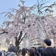 ヒメ日記 2026/03/26 12:54 投稿 美園 沙耶☆官能セラピスト MARVELOUS