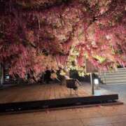 ヒメ日記 2026/04/16 16:44 投稿 美園 沙耶☆官能セラピスト MARVELOUS