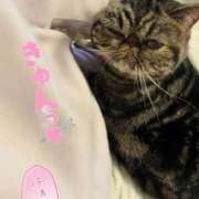 ヒメ日記 2025/01/17 22:16 投稿 有花(ゆか) ロケットワイフ