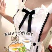 ヒメ日記 2025/03/13 09:33 投稿 有花(ゆか) ロケットワイフ