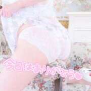 ヒメ日記 2025/04/03 23:20 投稿 有花(ゆか) ロケットワイフ