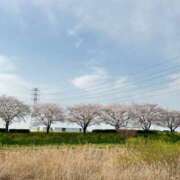 ヒメ日記 2025/04/08 15:54 投稿 有花(ゆか) ロケットワイフ