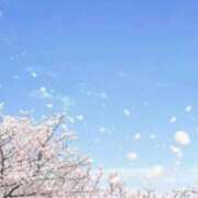 ヒメ日記 2025/04/16 23:01 投稿 有花(ゆか) ロケットワイフ