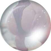 ヒメ日記 2025/04/18 10:26 投稿 有花(ゆか) ロケットワイフ