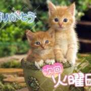 ヒメ日記 2025/04/24 22:09 投稿 有花(ゆか) ロケットワイフ