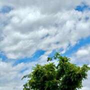 ヒメ日記 2025/06/01 19:50 投稿 有花(ゆか) ロケットワイフ