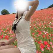 ヒメ日記 2025/09/24 10:07 投稿 有花(ゆか) ロケットワイフ