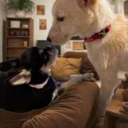 ヒメ日記 2025/10/06 10:47 投稿 有花(ゆか) ロケットワイフ