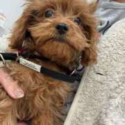 ヒメ日記 2025/11/28 14:11 投稿 有花(ゆか) ロケットワイフ