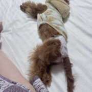 ヒメ日記 2026/02/06 23:00 投稿 有花(ゆか) ロケットワイフ