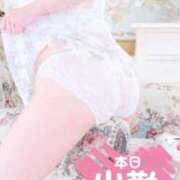 ヒメ日記 2026/03/12 10:04 投稿 有花(ゆか) ロケットワイフ