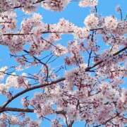 ヒメ日記 2026/03/24 14:24 投稿 有花(ゆか) ロケットワイフ