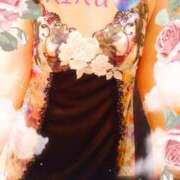 ヒメ日記 2024/12/10 14:42 投稿 りく sakura