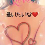 ヒメ日記 2025/01/04 11:03 投稿 りく sakura