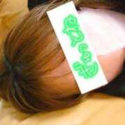 ヒメ日記 2025/01/17 15:22 投稿 りく sakura