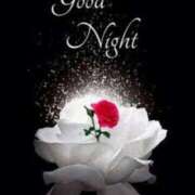 ヒメ日記 2025/01/25 22:52 投稿 りく sakura