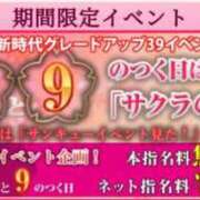 ヒメ日記 2025/02/13 08:22 投稿 りく sakura