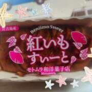 ヒメ日記 2025/02/18 14:02 投稿 りく sakura