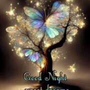 ヒメ日記 2025/02/18 23:42 投稿 りく sakura