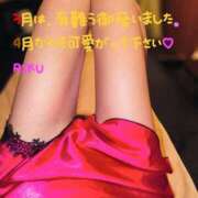 ヒメ日記 2025/03/31 15:32 投稿 りく sakura