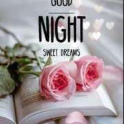 ヒメ日記 2025/03/31 21:22 投稿 りく sakura