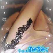 ヒメ日記 2025/05/02 09:42 投稿 りく sakura