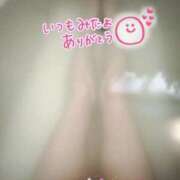 ヒメ日記 2025/05/08 15:22 投稿 りく sakura