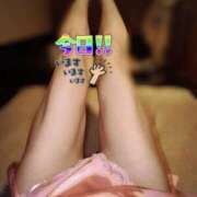 ヒメ日記 2025/05/11 17:42 投稿 りく sakura