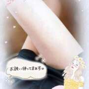 ヒメ日記 2025/06/26 10:02 投稿 りく sakura