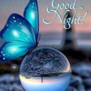 ヒメ日記 2025/07/24 22:22 投稿 りく sakura