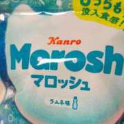 ヒメ日記 2025/07/26 14:42 投稿 りく sakura