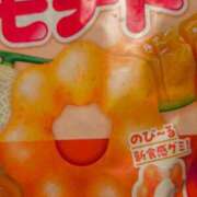 ヒメ日記 2025/07/27 13:03 投稿 りく sakura