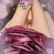 ヒメ日記 2025/08/31 10:42 投稿 りく sakura