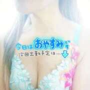 ヒメ日記 2025/10/31 10:22 投稿 りく sakura