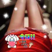 ヒメ日記 2025/11/04 10:03 投稿 りく sakura