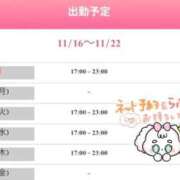 ヒメ日記 2025/11/16 19:33 投稿 りく sakura