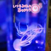 ヒメ日記 2025/11/19 13:52 投稿 りく sakura