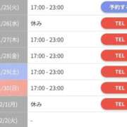 ヒメ日記 2025/11/25 12:42 投稿 りく sakura