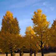 ヒメ日記 2025/12/03 16:32 投稿 りく sakura