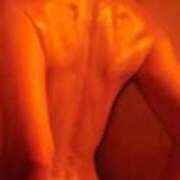 ヒメ日記 2025/12/30 11:42 投稿 りく sakura